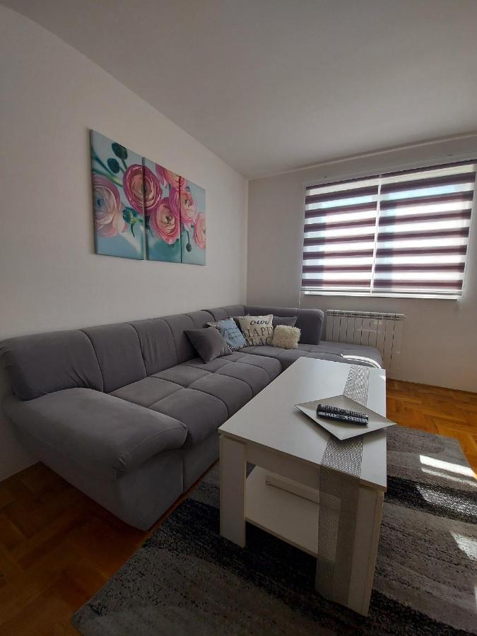 Apartman Victoria Lukavica Ngoại thất bức ảnh